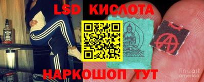 индика Славгород