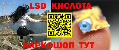 трава Сланцы