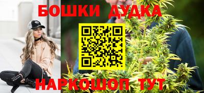 трава Сланцы