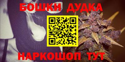 индика Славгород