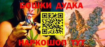 индика Славгород