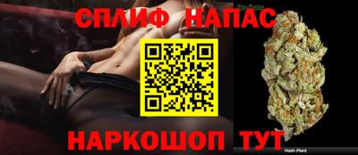 трава Сланцы