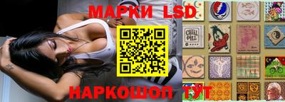 индика Славгород