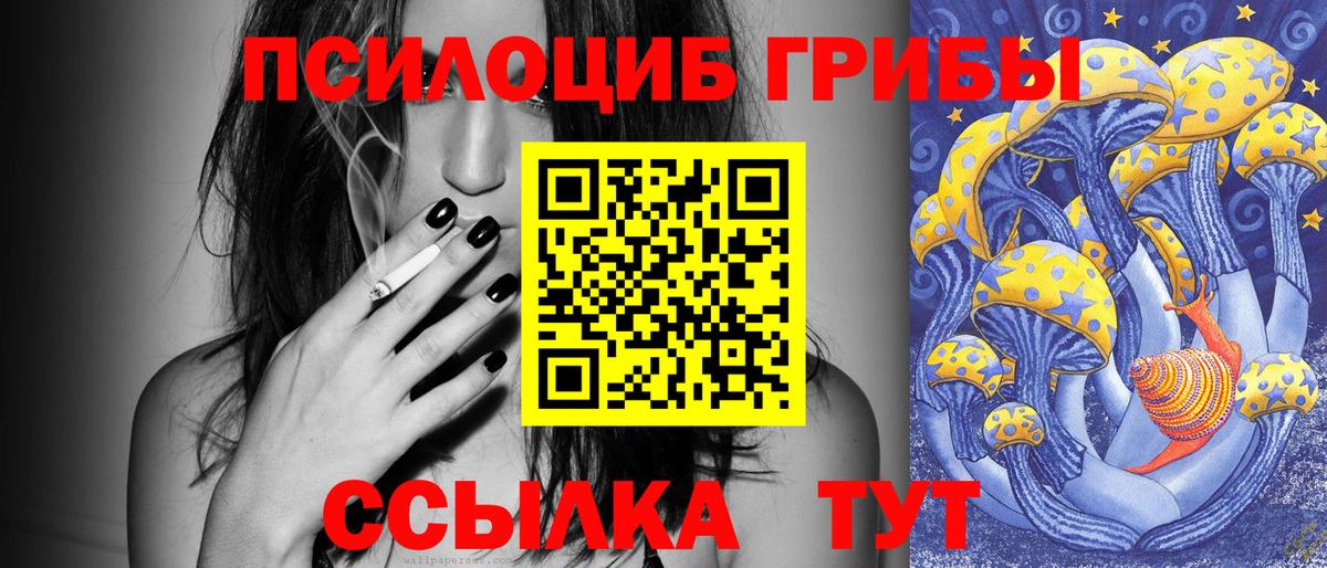 Псилоцибиновые грибы мухоморы Павловский Посад