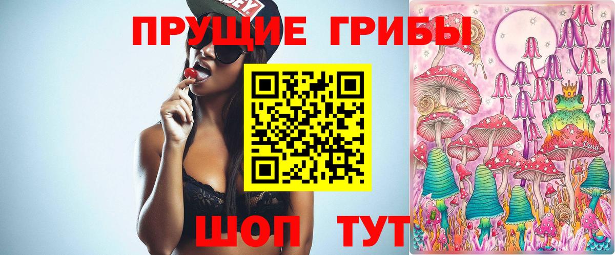 Павловский Посад  Псилоцибиновые грибы Cubensis  Вход с VPN  Псилоцибиновые грибы мухоморы 